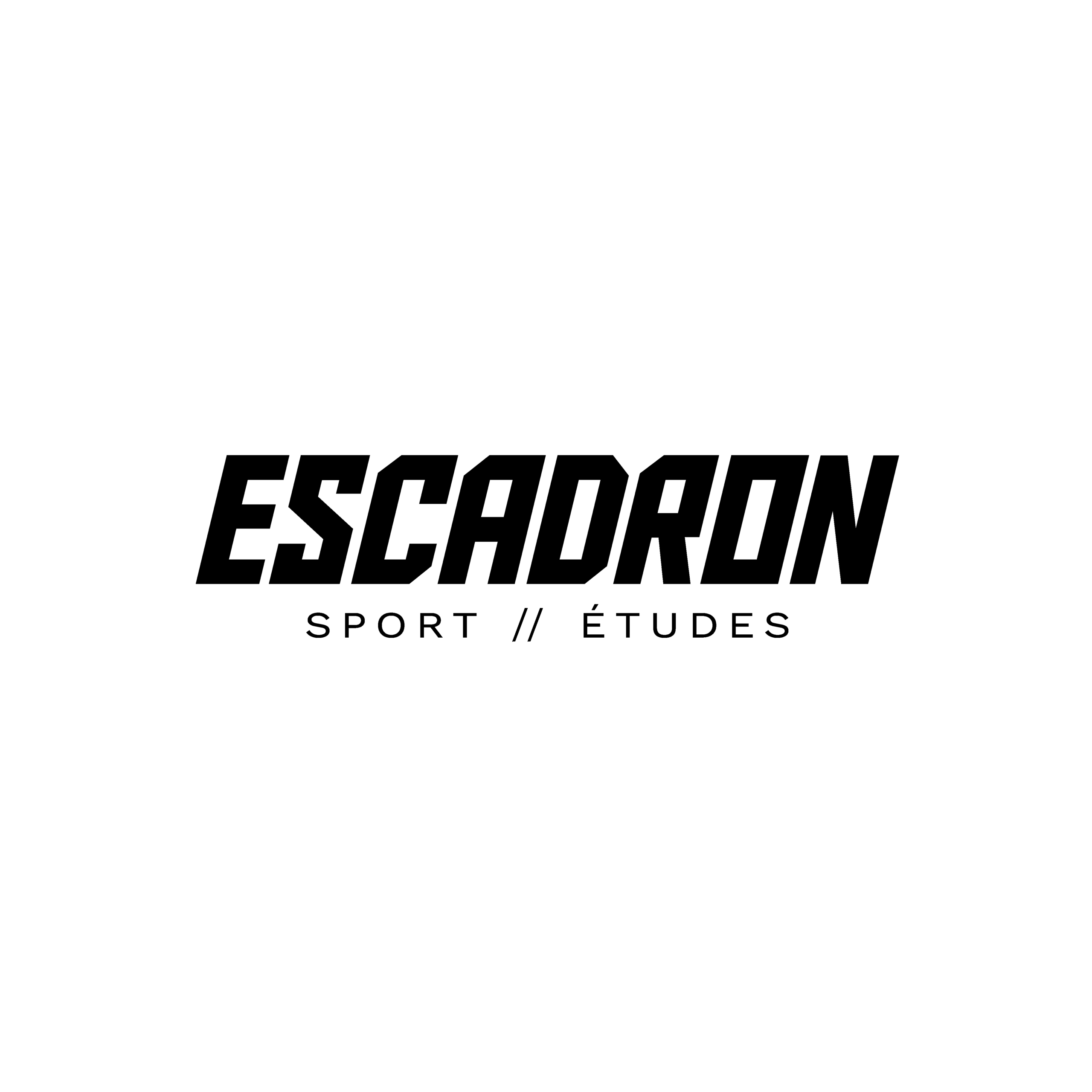 LOGO ESCADRON